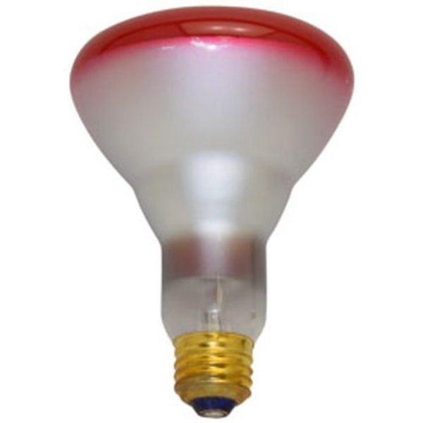 Ilc Replacement for PEC 75br30 RED replacement light bulb lamp 75BR30 RED PEC